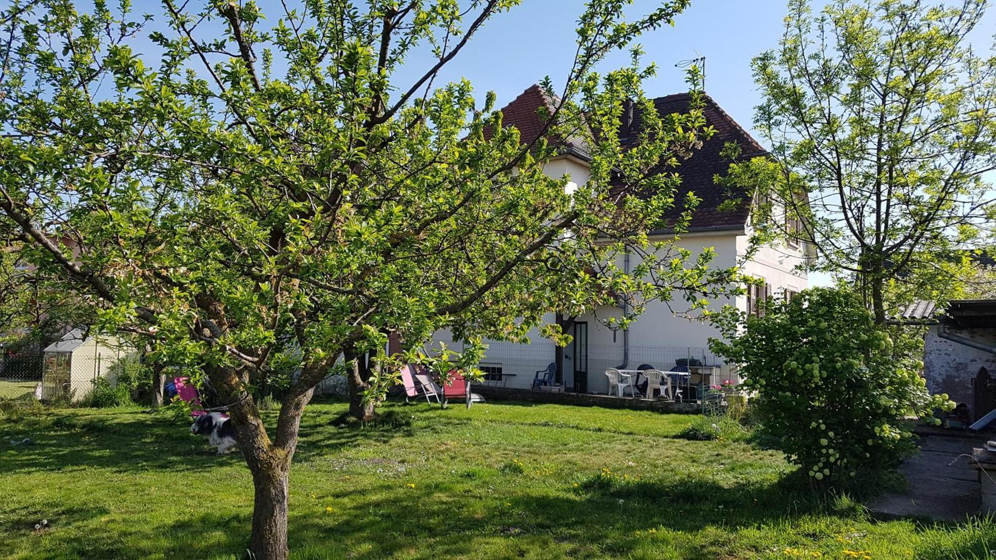 Maison Les 3 Roses Wolfisheim ภายนอก รูปภาพ