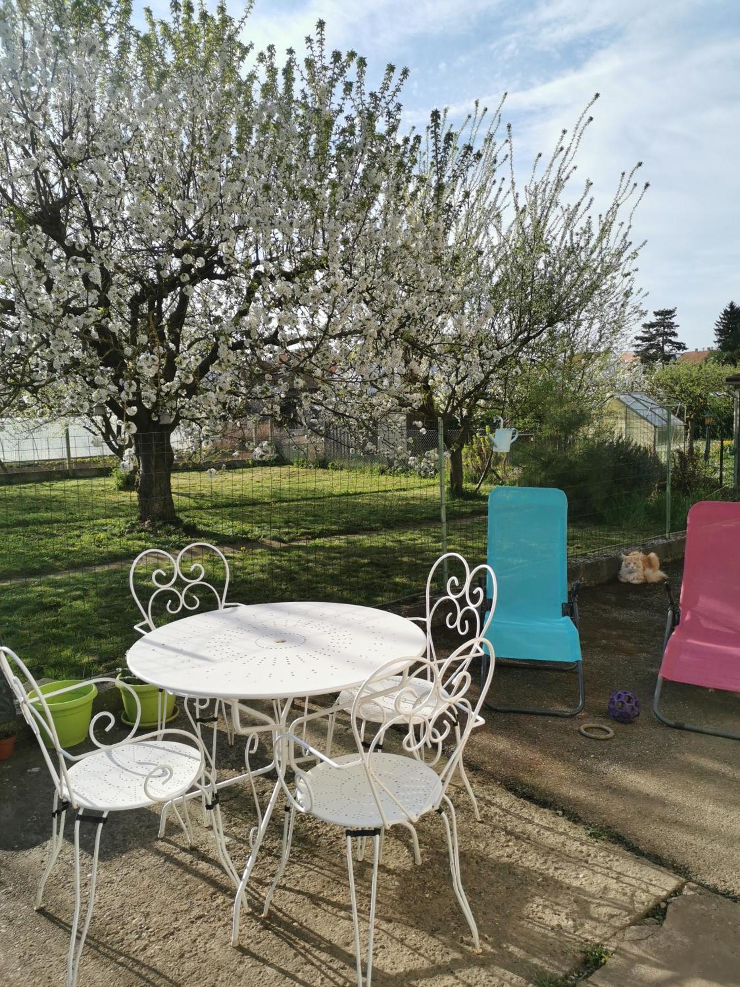 Maison Les 3 Roses Wolfisheim ภายนอก รูปภาพ